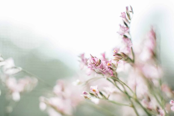 What's the Ideal Way to Select and Combine Pastel Knitwear for a Spring Office Wardrobe?