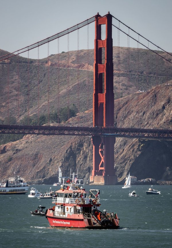 How to Safely Take Your Cat on a Boat Trip?